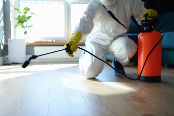Reliable Odor Removal contractor in Standish, ME by Trauma Clean Pros